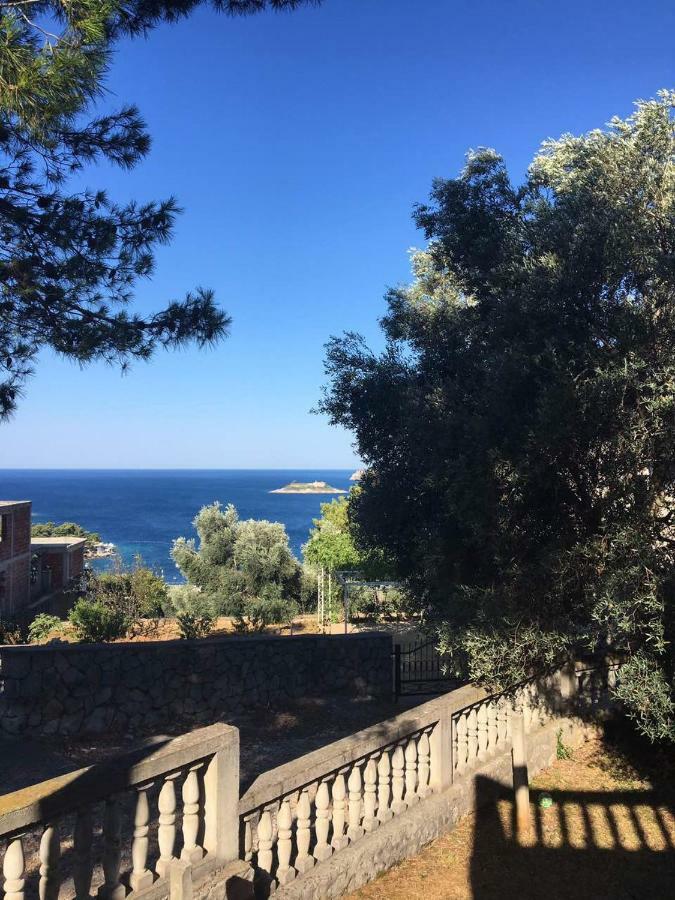 Apartman Novica Herceg Novi Exterior photo